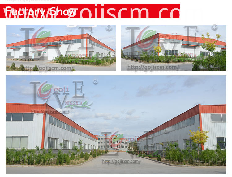 Goji Berry Slimming Diet Berry factory show Goji Berry Slimming Diet Berry factory show